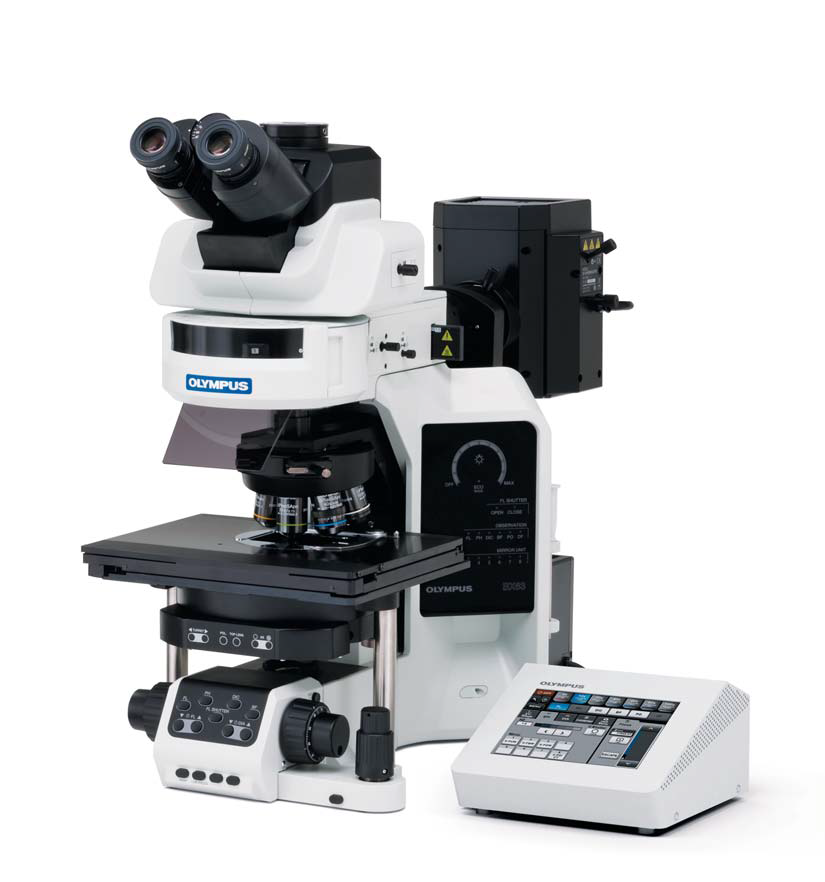 Microscópio motorizado BX 63